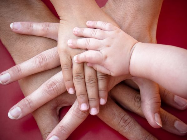 Four hands of the family,  a baby, a daughter,  a mother and a father. Concept of unity, support, protection and happiness.